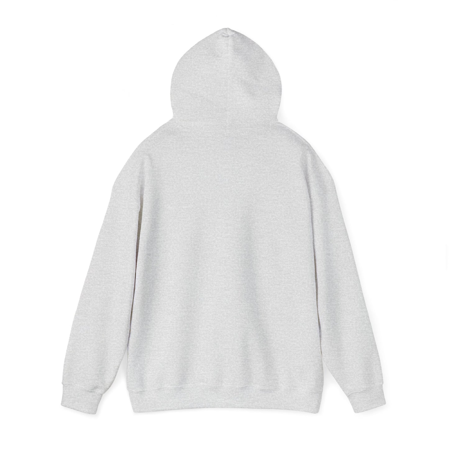 Flights Hoodie